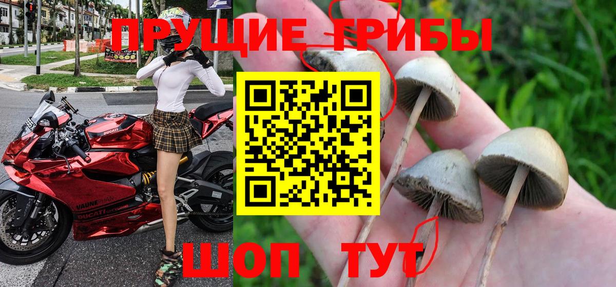 Псилоцибиновые грибы Magic Shrooms  Вход с VPN  Псилоцибиновые грибы GOLDEN TEACHER  Городец 